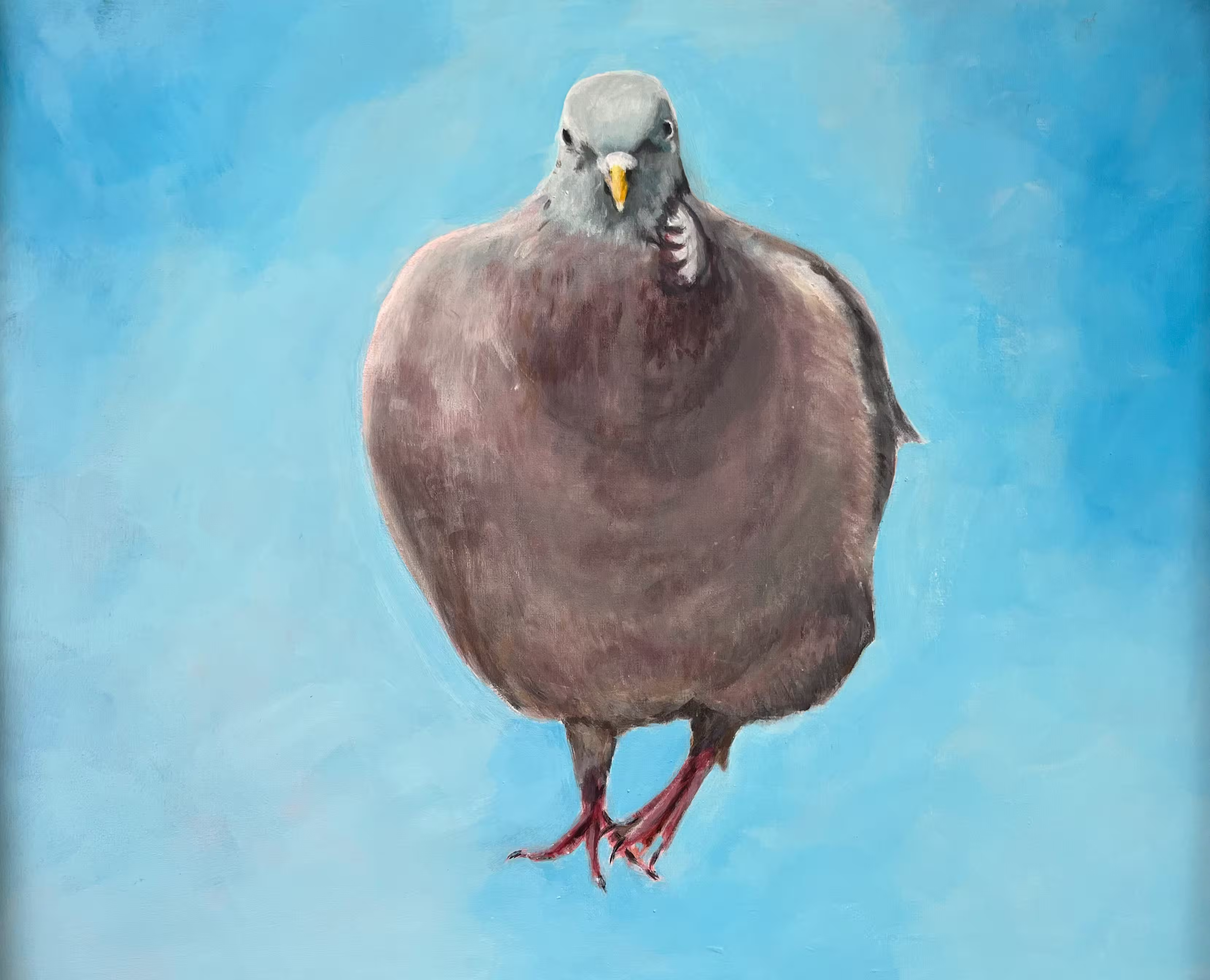 Dikke duif - Acryl op canvas Dikke duif - Acryl op canvas